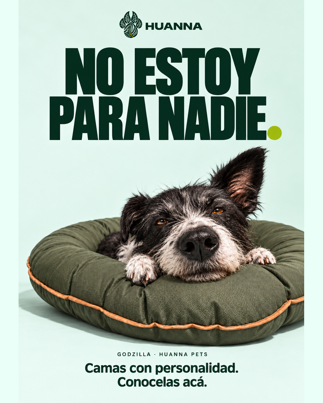 Campaña Godzilla de Huanna: un perro mestizo descansa con el hocico apoyado en su cama verde. Frase: No estoy para nadie.